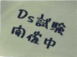 Ds試験開催中